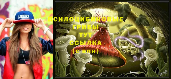 спайс Абдулино