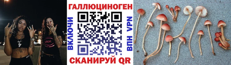 Галлюциногенные грибы мухоморы  Белая Калитва 