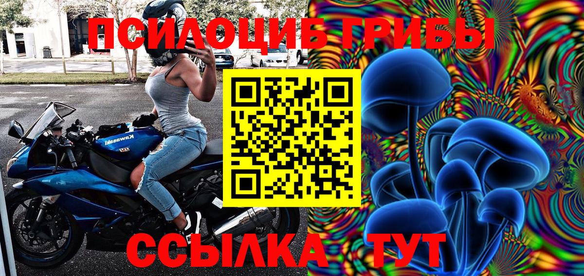 сколько стоит  Галлюциногенные грибы Psilocybine cubensis  Галлюциногенные грибы Cubensis  Вход с VPN  Белая Калитва 